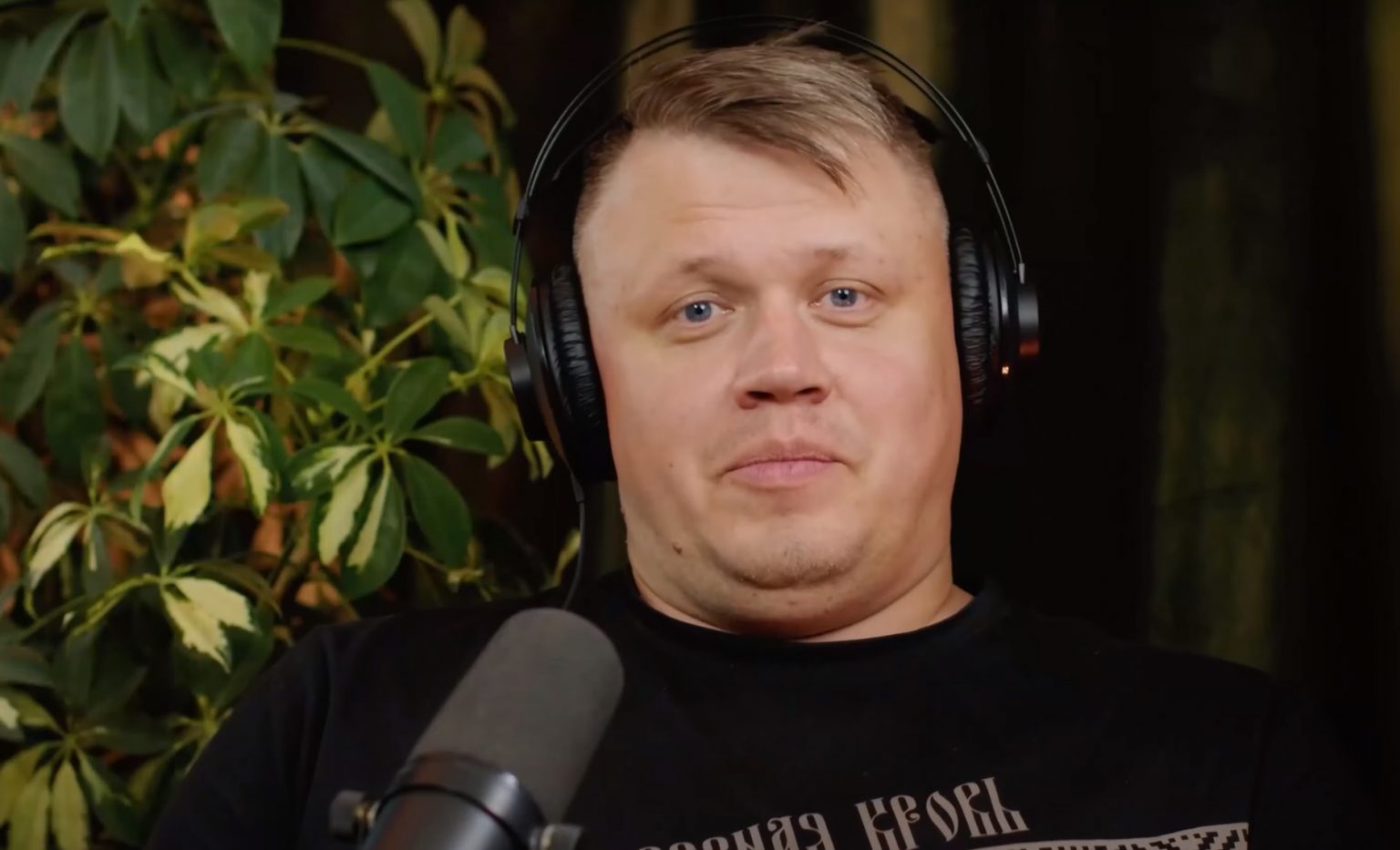 Александр Стриж