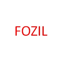 Fozil Partners