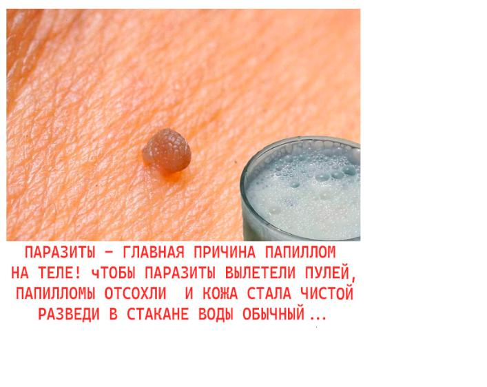 new-e6b27b4441c6b6e4.png