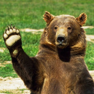 Мишки в интернете